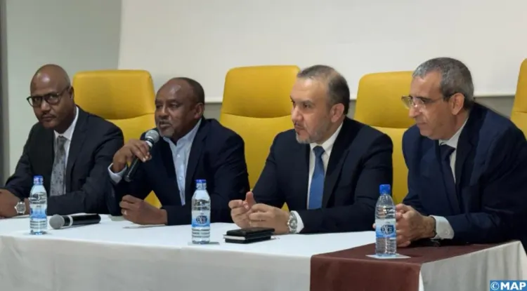 نجامينا: توقيع عقدين بين المكتب الوطني للكهرباء والماء الصالح للشرب وشركة الكهرباء التشادية لتطوير مشروع مندمج للكهربة القروية