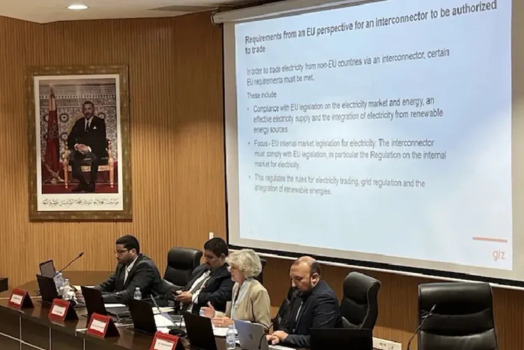 ندوة مغربية-ألمانية تبحث تبادل الكهرباء الخضراء واندماج الأسواق بين المغرب وأوروبا