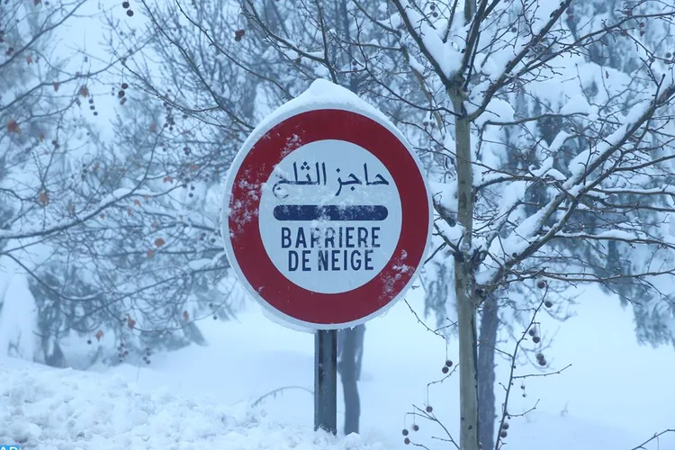 نشرة إنذارية: تساقطات ثلجية وهبات رياح محليا قوية يومي الخميس والجمعة بعدد من أقاليم المملكة