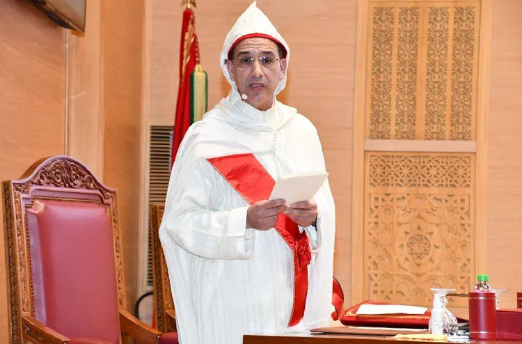 91 في المائة نسبة معالجة النيابات العامة للشكايات خلال 2025 (السيد بلاوي)