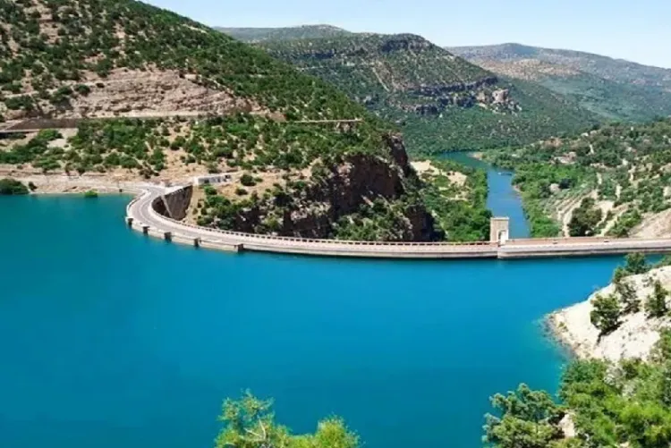 وادي أم الربيع.. شريان استراتيجي يستعيد زخمه الطبيعي