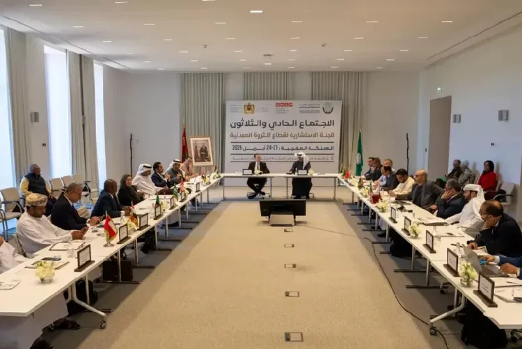 انطلاق أشغال الاجتماع الـ 31 للجنة الاستشارية لقطاع الثروة المعدنية بمراكش