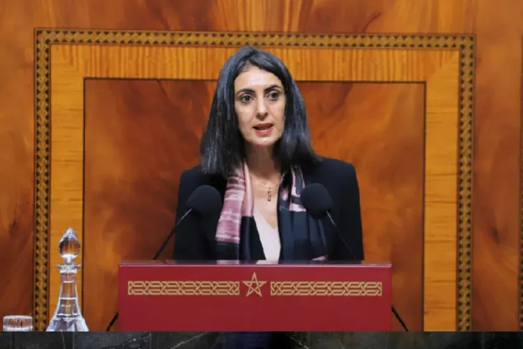 مشروع قانون المالية لسنة 2026.. الحكومة عازمة على مواصلة تنزیل برنامجھا الإصلاحي (السيد فتاح)