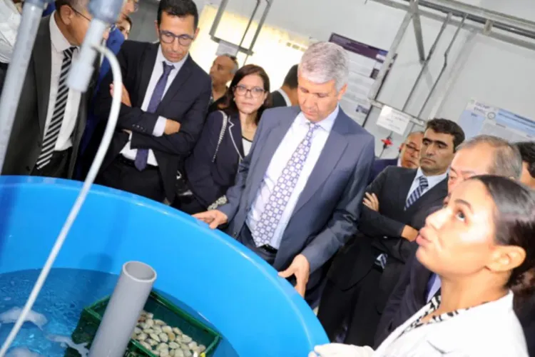 السيد صديقي يفتتح مركز الأبحاث وتكنولوجيا تربية الصدفيات بأمسا بإقليم تطوان