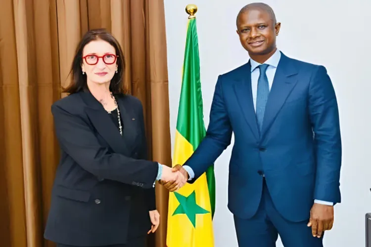 السنغال ملتزمة بالمساهمة في إنجاح مشروع خط أنابيب الغاز الاستراتيجي بين نيجيريا والمغرب