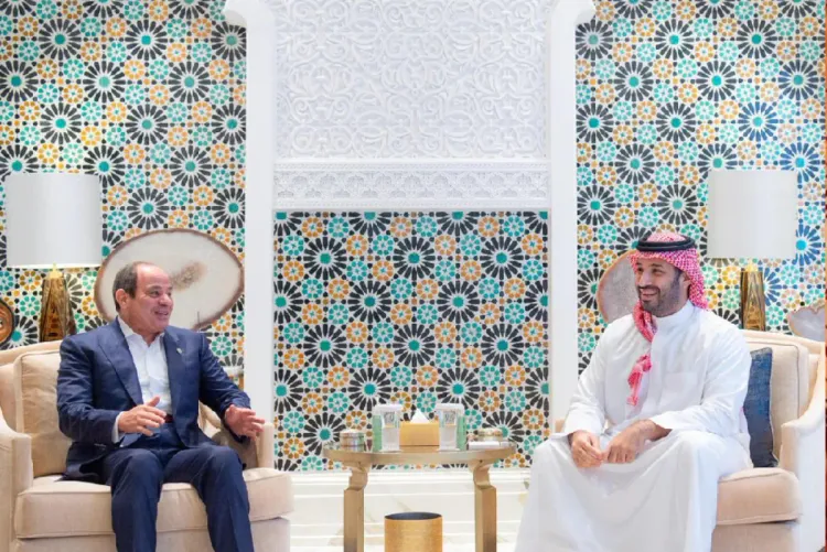 ولي العهد السعودي والرئيس المصري يتباحثان بشأن تطورات الأوضاع في فلسطين