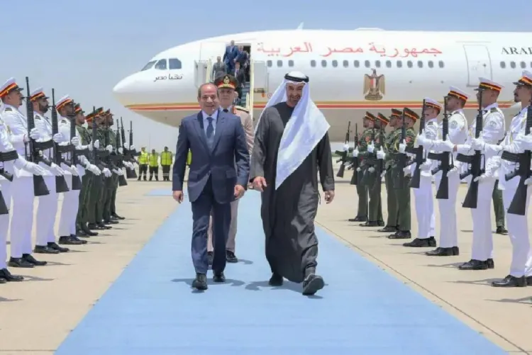 الرئيسان المصري والإماراتي يبحثان التطورات الإقليمية والعلاقات الثنائية