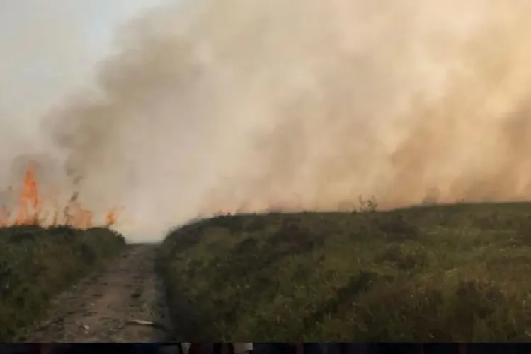 284 وفاة جديدة في البرتغال بسبب موجة الحر