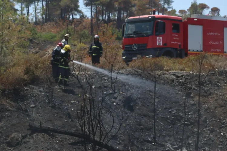500 ألف دولار مساعدات أممية طارئة لدعم الاستجابة لحرائق الغابات في سوريا