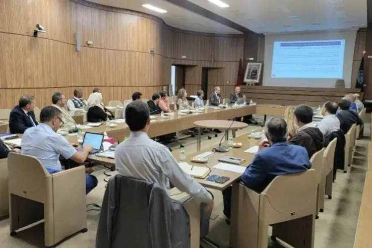 إدارة الجمارك والضرائب غير المباشرة تنظم لقاءات تواصلية جهوية بعدد من مدن المغرب