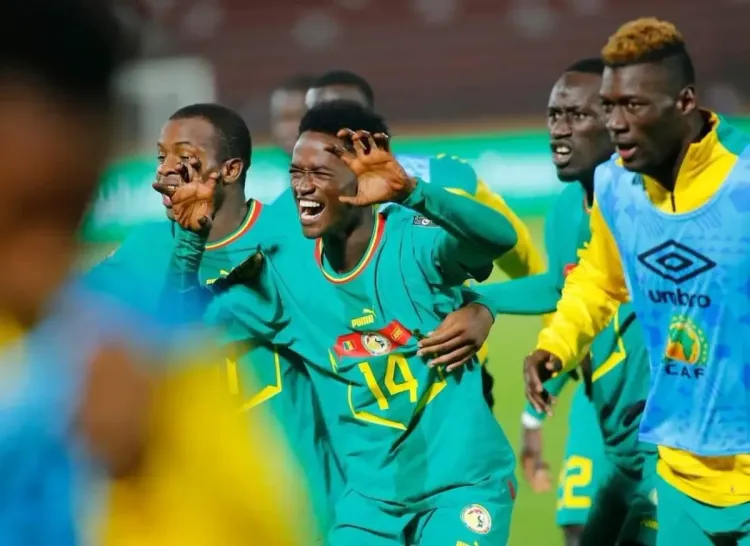 السنغال تفوز ببطولة أمم إفريقيا للمحلين على حساب الجزائر