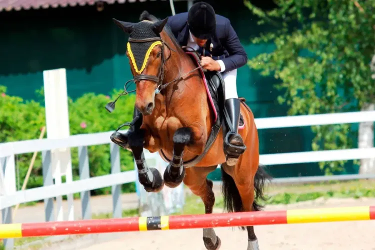 الدوري الملكي المغربي : الفارس الإيطالي إيمانويلي غاوديانو يفوز بجائزة صاحب السمو الملكي ولي العهد الأمير مولاي الحسن