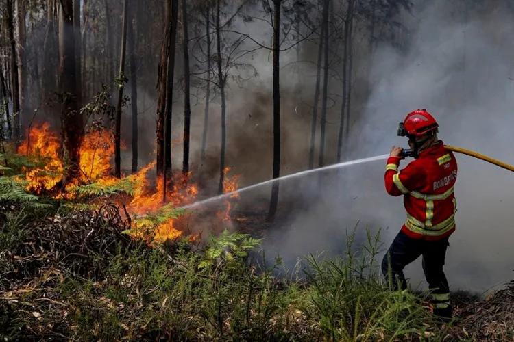 فرنسا : موجة الحر تشعِل النيران في غابات جنوب غرب البلاد