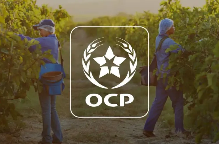 شركة "OCP SA"..تأشير الهيئة المغربية لسوق الرساميل على المنشور المتعلق بإصدار سندات اقتراض عادية بمبلغ إجمالي قدره 5 ملايير درهم