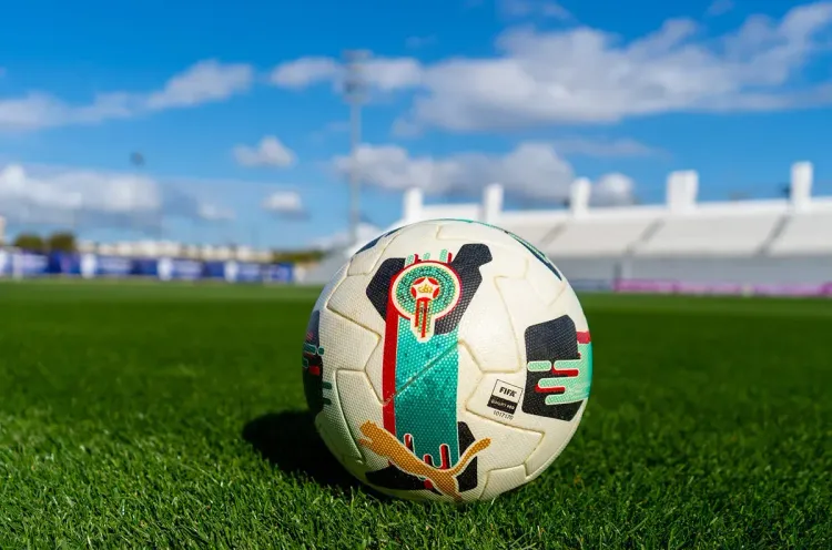 البطولة الاحترافية للقسم الأول.. نتائج وبرنامج مباريات الدورة الـ 15