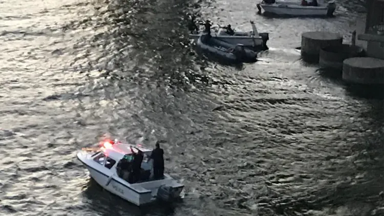 ضحايا إثر سقوط عربة من فوق عبارة في نهر  النيل