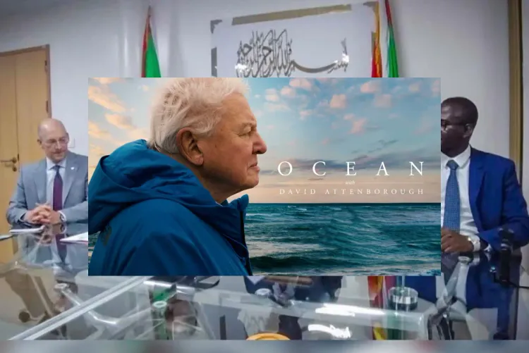 الداخلة.. عرض الفيلم الوثائقي "المحيط مع ديفيد أتينبورو" لتوعية الشباب بحماية المحيطات