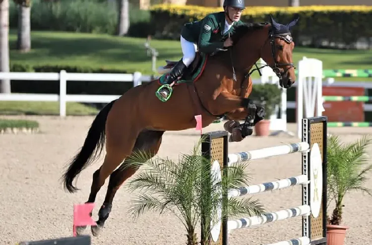 فروسية: نال زروال يمثل المغرب في نهائي بطولة التحدي العالمي للقفز على الحواجز 2026