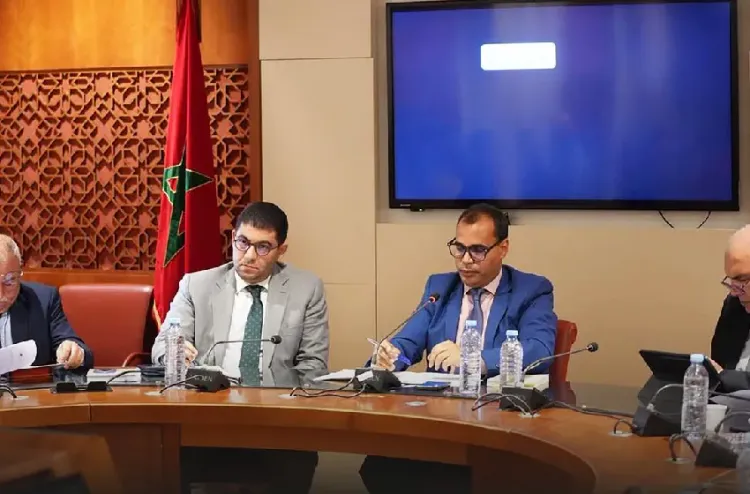 المجلس الوطني للصحافة.. الحكومة تفاعلت بإيجابية مع ملاحظات المحكمة الدستورية (السيد بنسعيد)