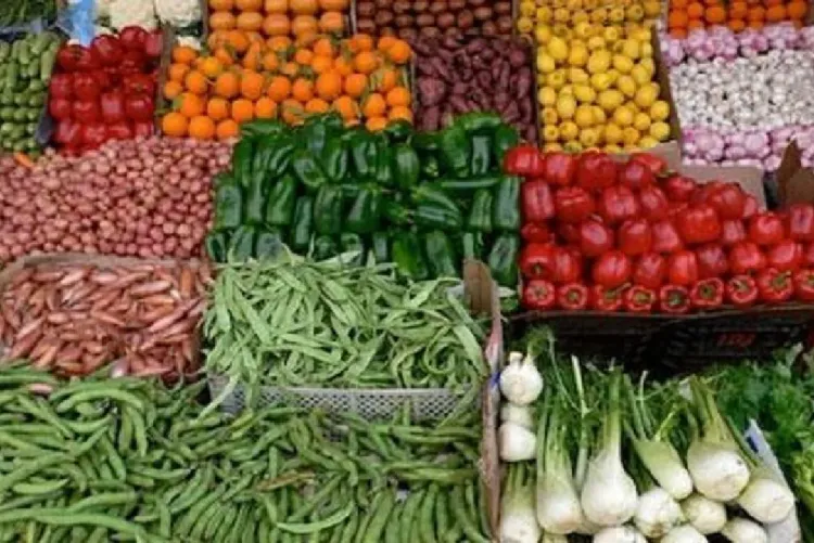المنتجات الغذائية الفلاحية: أزيد من 86 مليار درهم من الصادرات سنة 2025 (مجلس إدارة موروكو فوديكس)
