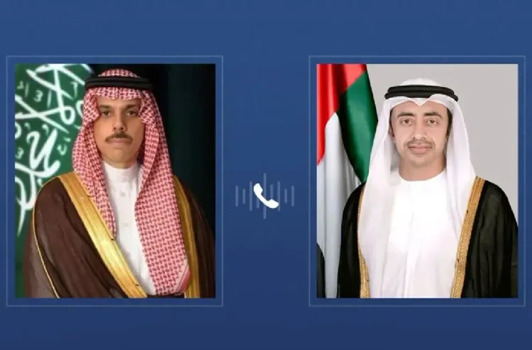 وزيرا خارجية الإمارات والسعودية يبحثان تطورات الأوضاع في المنطقة