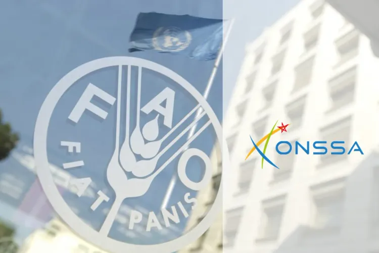 الFAO انتخاب المغرب نائبا لرئيس هيئة تدابير الصحة النباتية التابعة للاتفاقية الدولية لوقاية النباتات