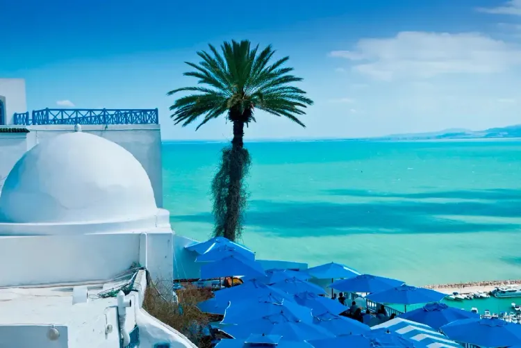 اليونسكو تدرج قرية سيدي بوسعيد التونسية ضمن قائمة التراث العالمي (وزارة الثقافة التونسية)
