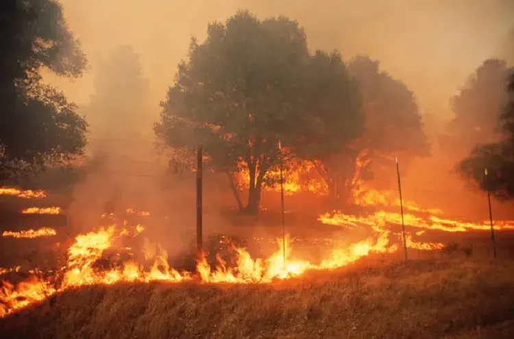 كوبا.. حرائق غابوية تأتي على أزيد من ألف هكتار