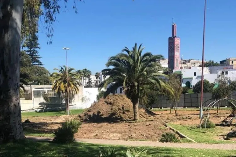 مرصد حماية البيئة والمآثر التاريخية بطنجة يطلق دينامية "طنجة منخفضة الكربون"