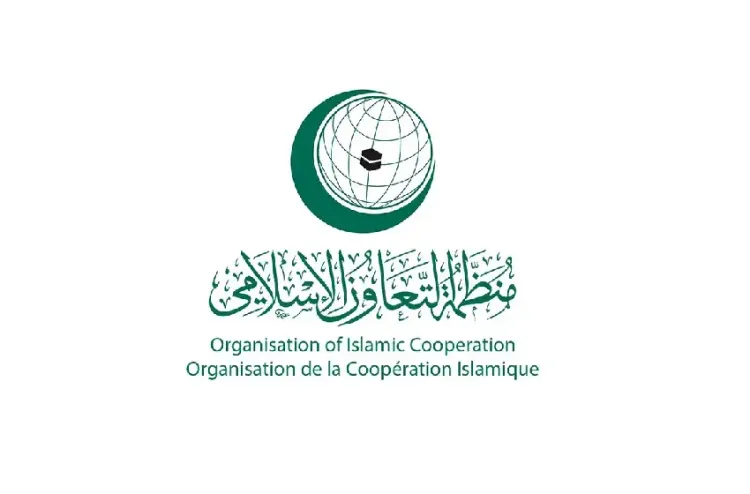 منظمة التعاون الإسلامي تدين الاعتداءات الإسرائيلية على بنى تحتية عسكرية في جنوب سوريا