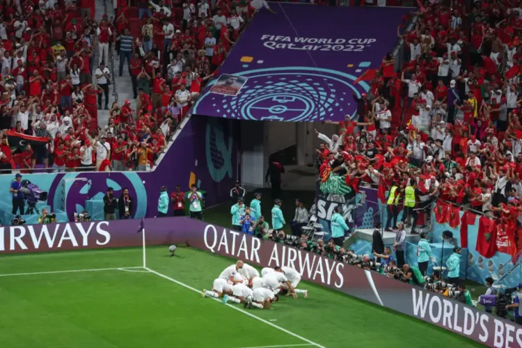 إليسا, هيفاء ,كاظم الساهر,هنيدي ... نجوم الفن والرياضة العرب يهنئون الأسود بالفوز على بلجيكا