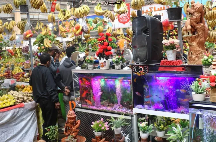 الأسواق النموذجية بالعيون.. إقبال كبير للساكنة خلال شهر رمضان المبارك