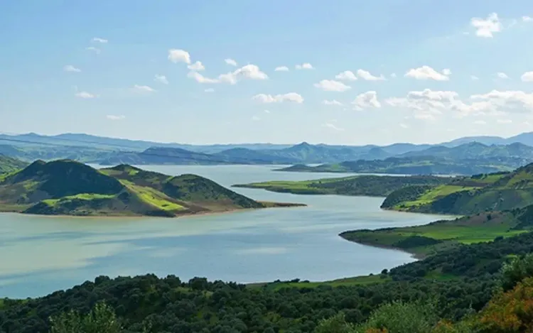 التساقطات المطرية الأخيرة تنعش آمال منتجي النباتات السكرية بحوض اللوكوس