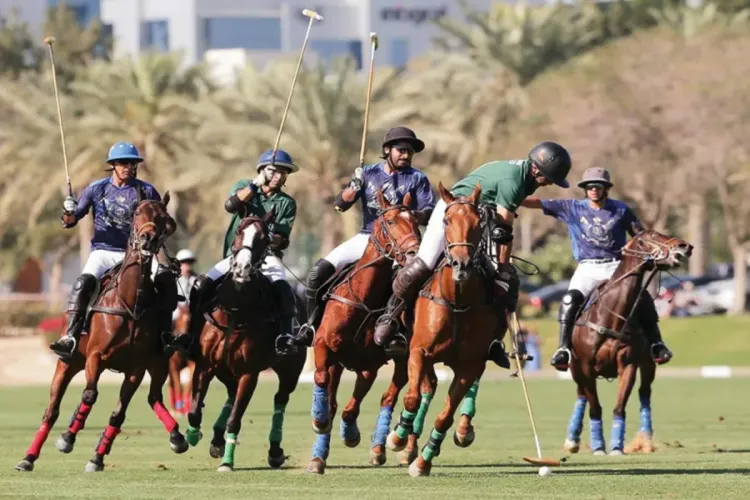 البعثة الاقتصادية البولونية: التنمية الكبيرة  بالأقاليم الجنوبية نتيجة منطقية ومباشرة" لقيادة جلالة الملك