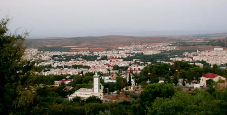 برمجة مشاريع باقليم صفرو