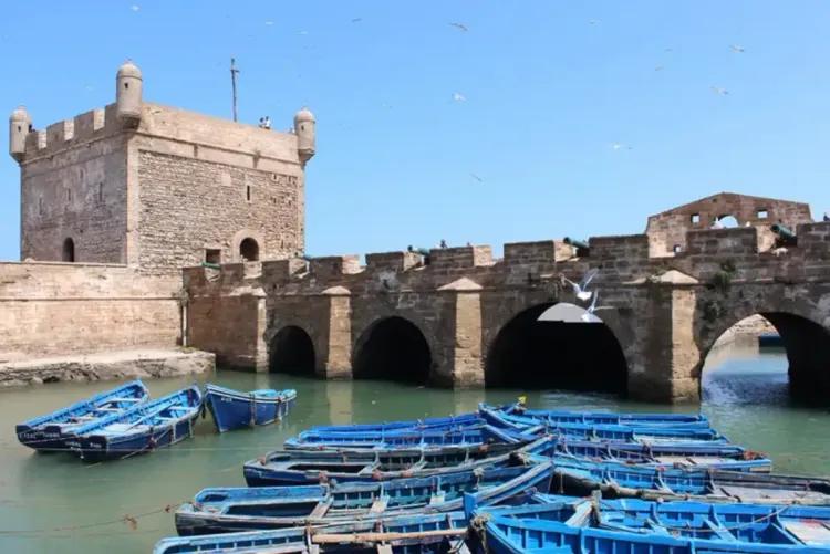 التنفيذ الأمثل لبرنامج "أوراش" محور لقاء بالصويرة