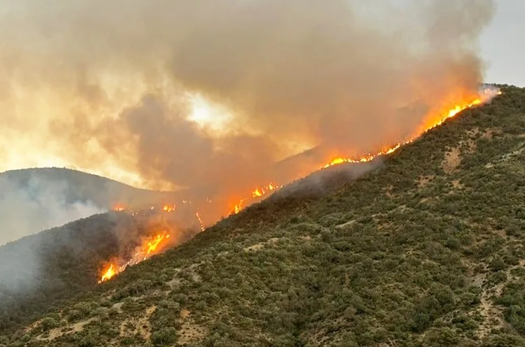 إقليم تازة: حريق بغاية بورد بدائرة أكنول يأتي على حوالي 30 هكتار