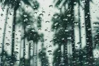 Hauteur de pluies