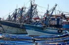 Port de Mehdia: plus de 29 MDH, valeur des produits commercialisés de la pêche côtière et artisanale à fin juin