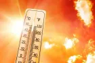 Vague de chaleur et temps chaud, de dimanche à mercredi, dans plusieurs provinces (bulletin d'alerte)