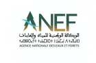 L'ANEF réitère son engagement à protéger les forêts de cèdres, un patrimoine national stratégique (Communiqué)