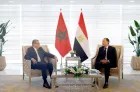Comité de coordination et de suivi: M. Akhannouch s'entretient au Caire avec son homologue égyptien