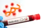 Ebola: L'Ouganda ferme temporairement sa frontière avec la RDC