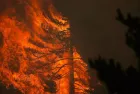 Espagne : 32.000 hectares ravagés par un incendie à 100 km au nord de Madrid