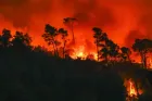 Feux de forêt en France: Quatre départements du sud-est en danger "très élevé"