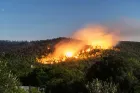 Forces Armées Royales : Disponibilité opérationnelle et interventions aériennes coordonnées pour lutter contre les feux de forêt