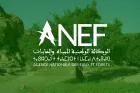 L'ANEF publie une carte des zones à risque des incendies de forêts pour la période allant du 26 au 29 mai