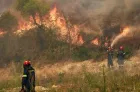 Incendies en Espagne : forte baisse des superficies brûlées au cours de la dernière semaine