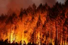 Canada : Plus de 300 millions de dollars pour renforcer la lutte aérienne contre les feux de forêt
