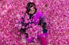 Rose à parfum : une production prévisionnelle de 5.000 tonnes en 2026 (ORMVA)